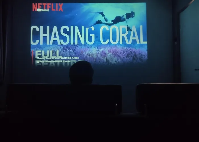 Nice House 2, Home Theater And Netflix