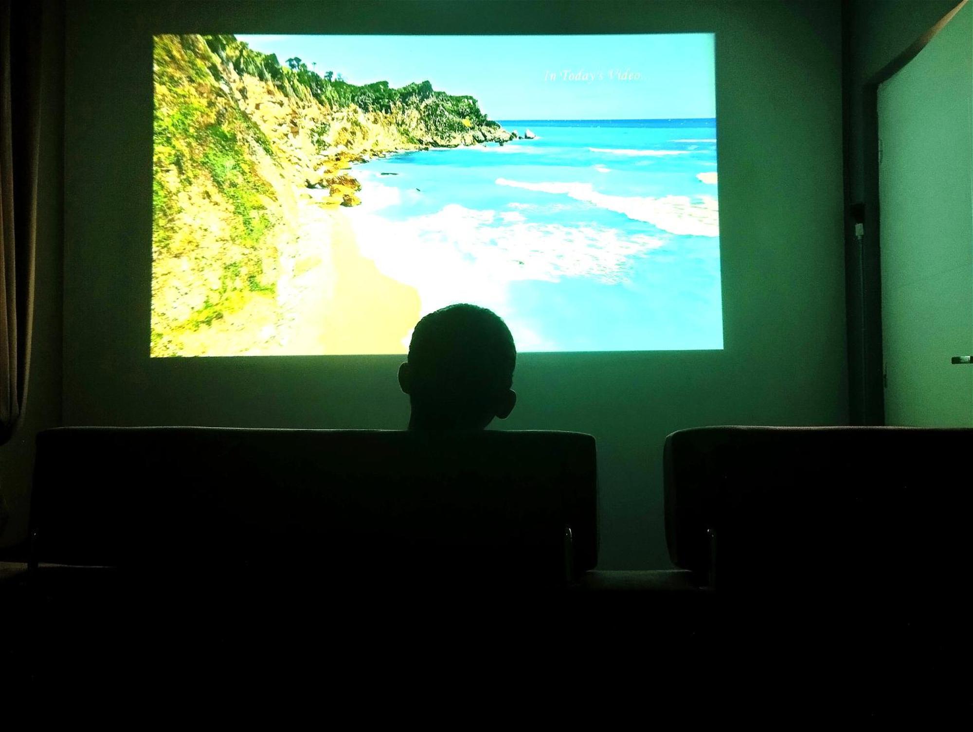 Apartment House 2, Theater And Netflix *