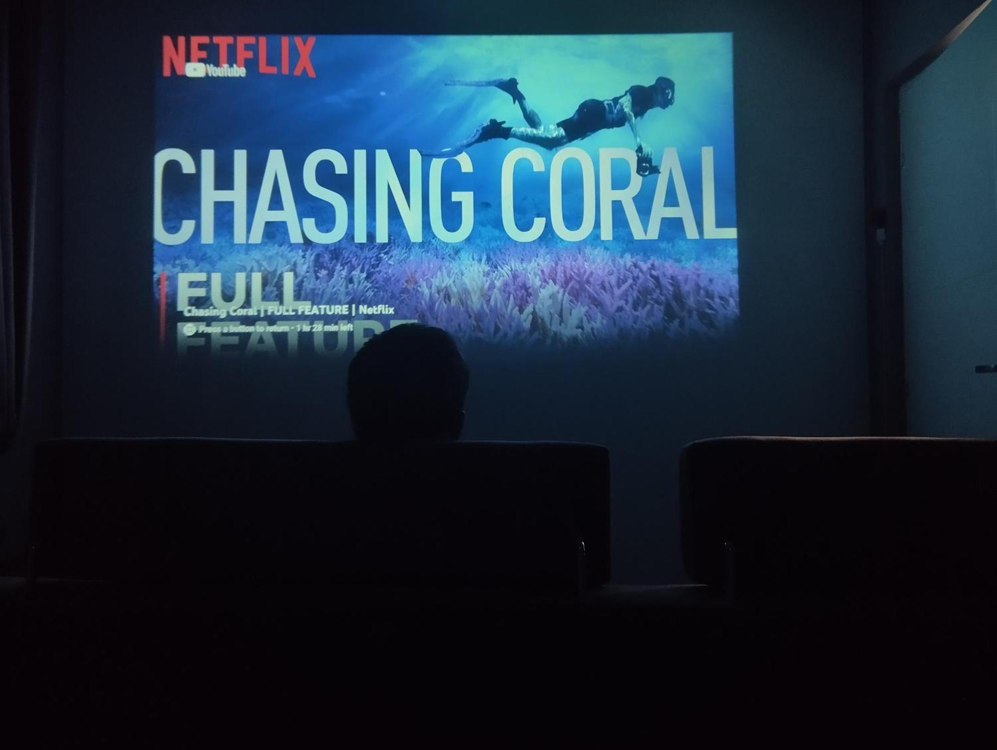 Apartment House 2, Theater And Netflix *
